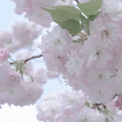 兽设原创构思技巧福瑞交流群